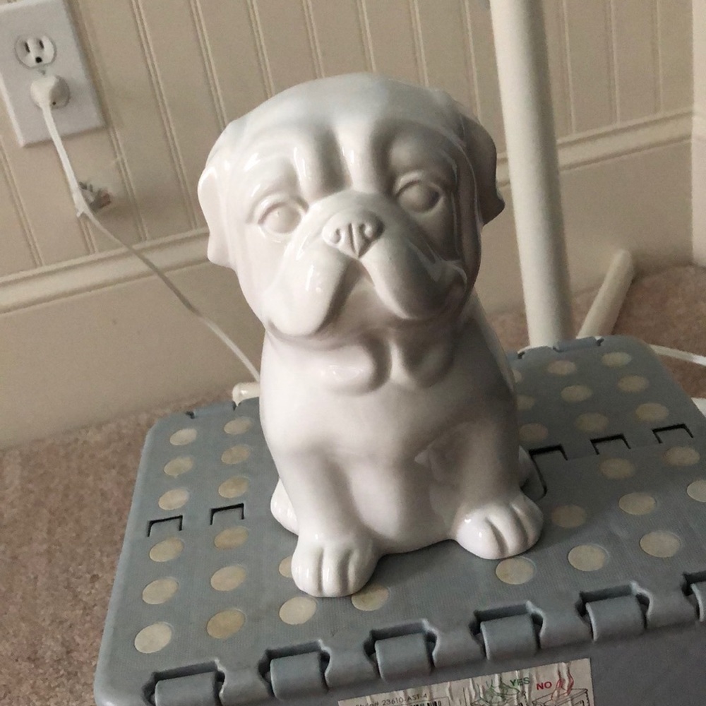 Pug piggy bank